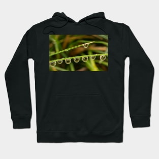 Water Drops with Reflection Hoodie